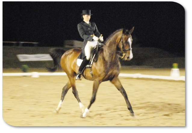 Dressurreiten mit Beleuchtung Dressurpferd