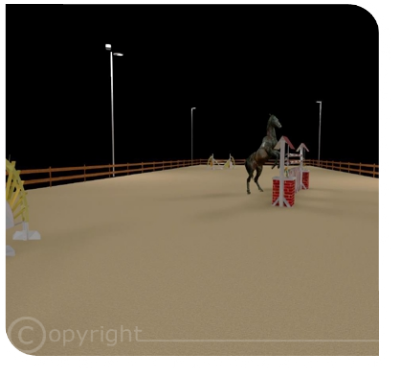 Reitplatz mit LED-Beleuchtung Springplatz mit LED-Beleuchtung