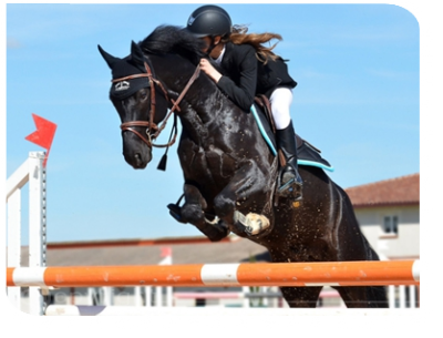 LED-Flutlicht Reiten